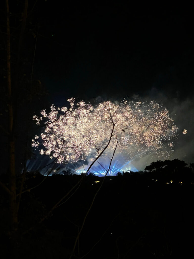 20211007-2 XueBayi 薛八一-一 微博