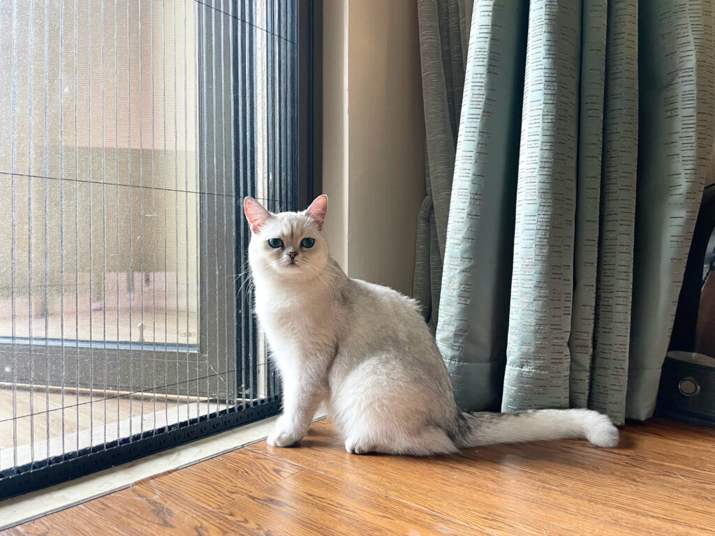 20210803-2 XueBayi 薛八一-一 微博