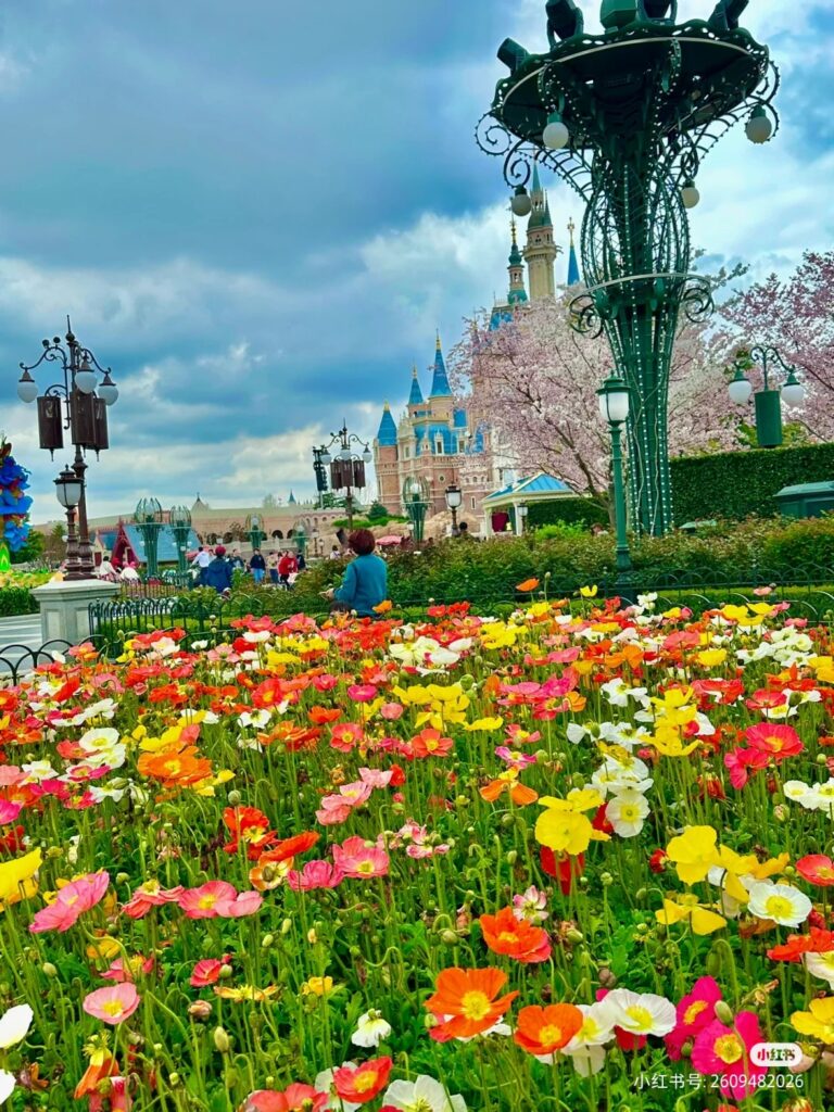 20230401-5 XueBayi 薛八一 小红书