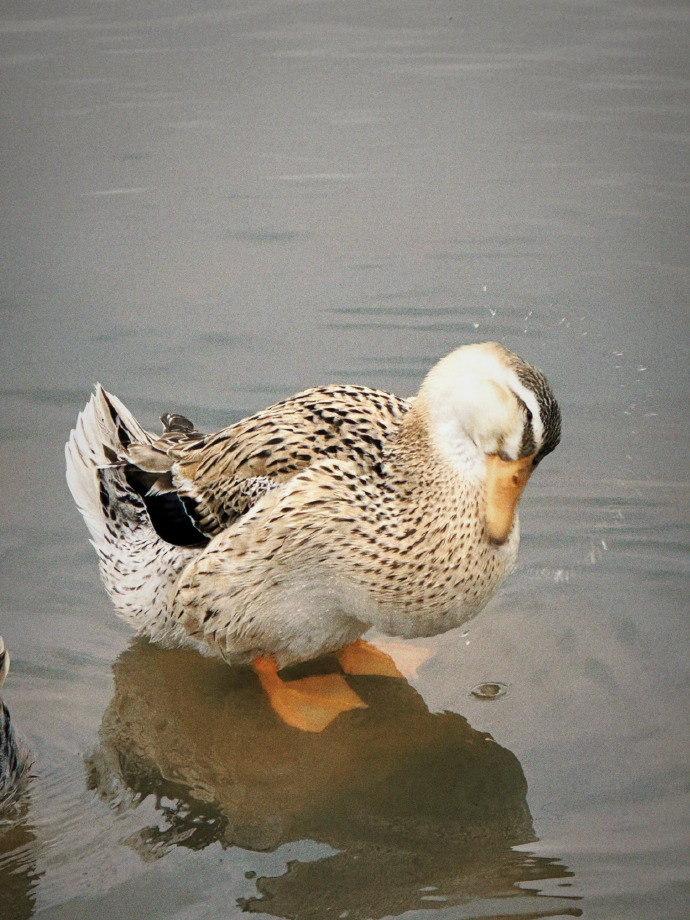 20230424-5 XueBayi 薛八一丶 微博