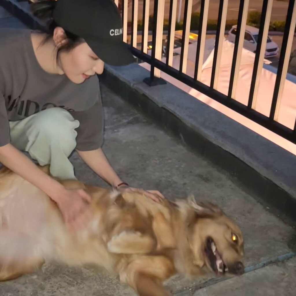 20230511-3 XueBayi 薛八一丶 微博