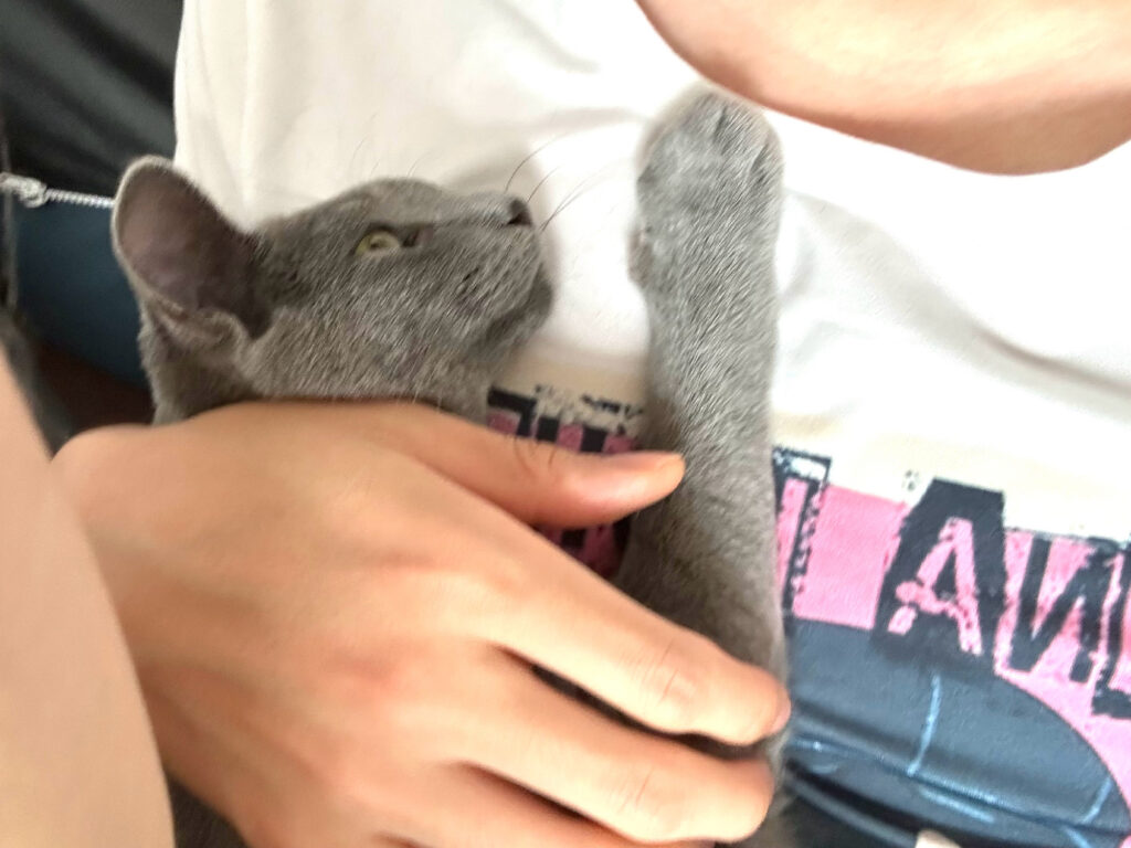 20230620-13 XueBayi 薛八一丶 微博